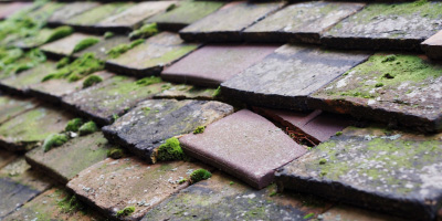 Dorney Reach roof repair costs